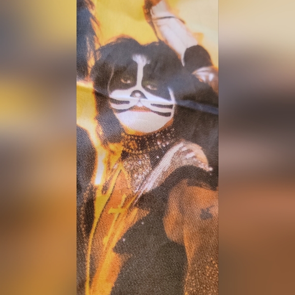 BAND ART | ✨️✨️KISS ✨️✨️Tapestry - Wall Hanging  Silk Scarf 2008 - Rock Legends - Picture 8 of 17